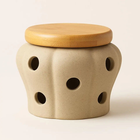 Brisa Ceramic Spice Jars with Lids
