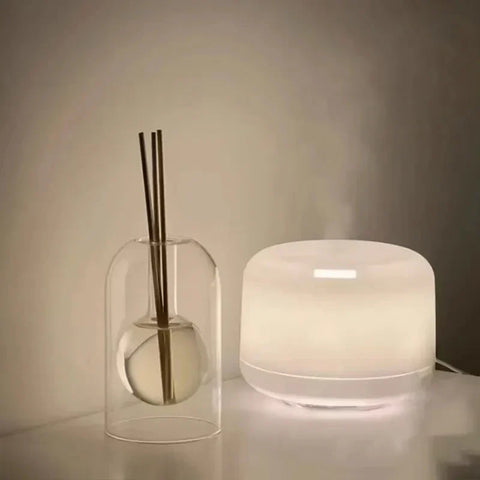 Glass Reed Diffuser | Scented Oil Home Fragrance Kit