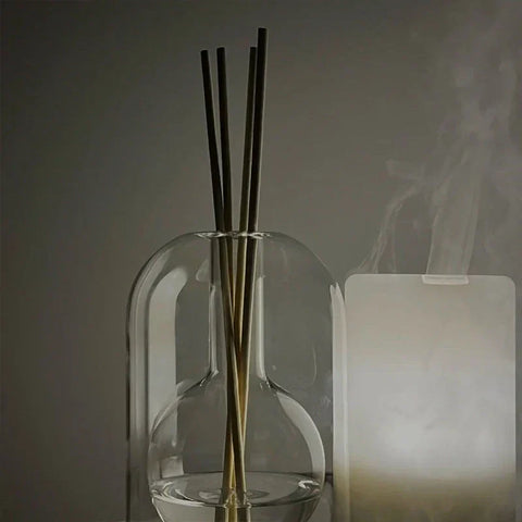Glass Reed Diffuser | Scented Oil Home Fragrance Kit
