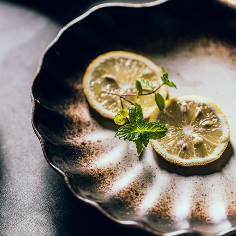 Coastal Ceramic Dinner Plate | Shell Design Tableware