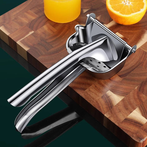 Stainless Steel Fruit Juicer
