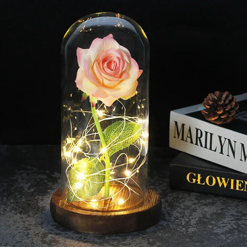 Preserved Rose in Glass Bell Jar – LED Light Beauty & Home Decor