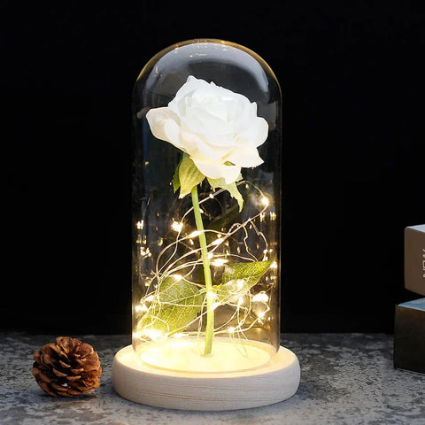 Preserved Rose in Glass Bell Jar – LED Light Beauty & Home Decor