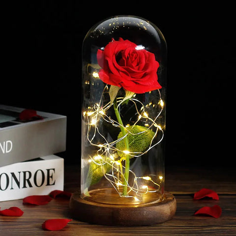 Preserved Rose in Glass Bell Jar – LED Light Beauty & Home Decor