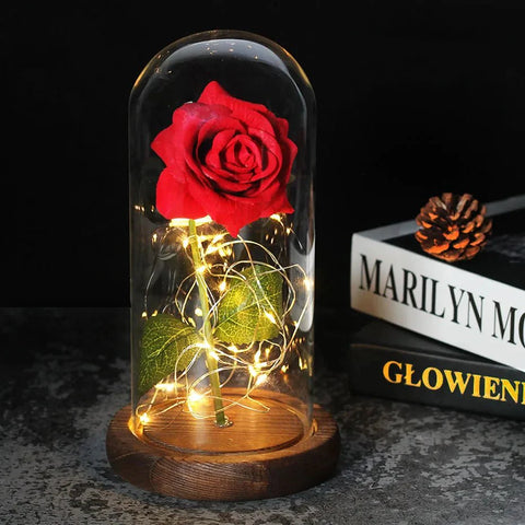 Preserved Rose in Glass Bell Jar – LED Light Beauty & Home Decor