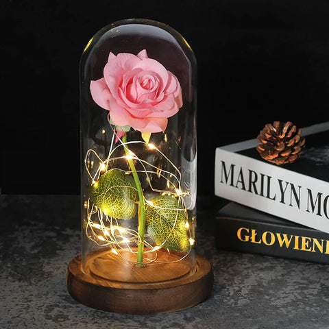 Preserved Rose in Glass Bell Jar – LED Light Beauty & Home Decor