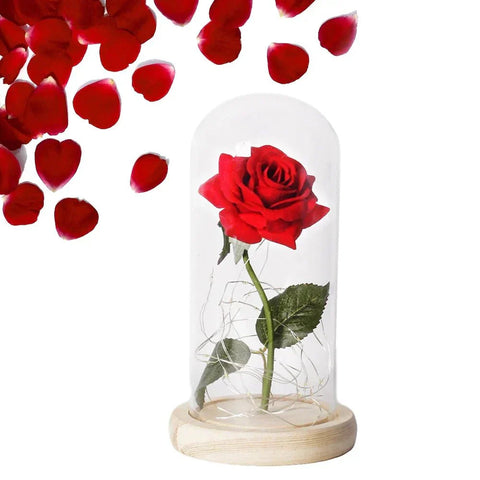Preserved Rose in Glass Bell Jar – LED Light Beauty & Home Decor