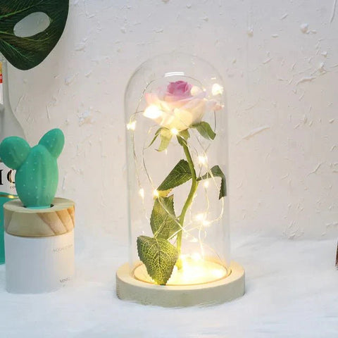 Preserved Rose in Glass Bell Jar – LED Light Beauty & Home Decor
