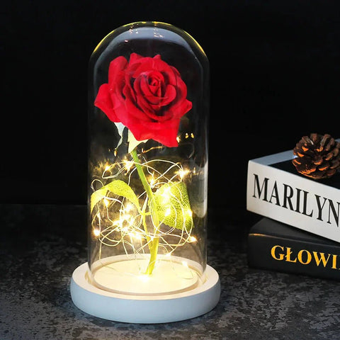 Preserved Rose in Glass Bell Jar – LED Light Beauty & Home Decor