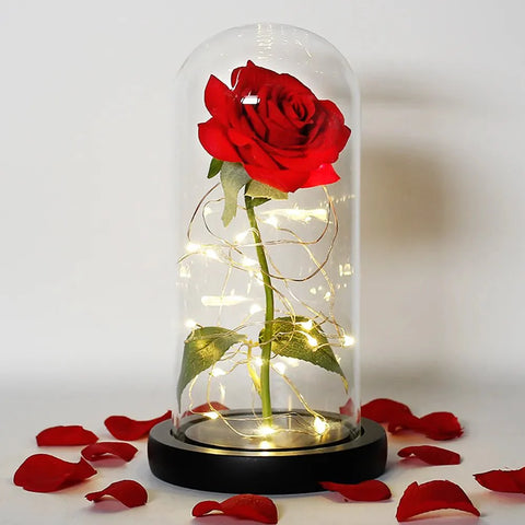 Preserved Rose in Glass Bell Jar – LED Light Beauty & Home Decor