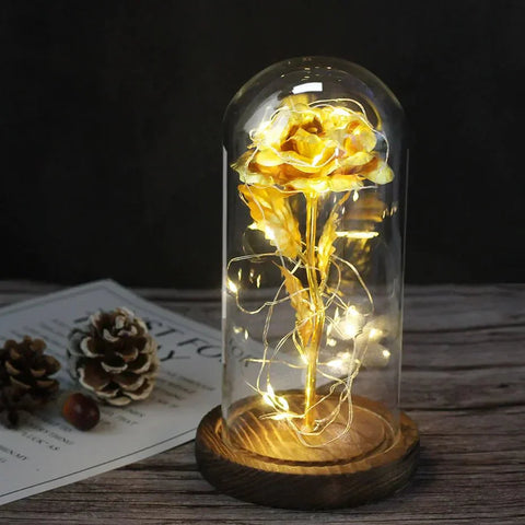 Preserved Rose in Glass Bell Jar – LED Light Beauty & Home Decor