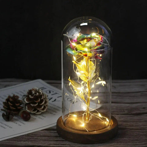 Preserved Rose in Glass Bell Jar – LED Light Beauty & Home Decor