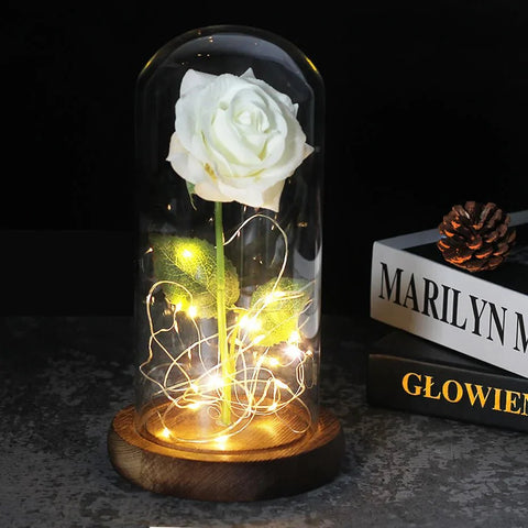 Preserved Rose in Glass Bell Jar – LED Light Beauty & Home Decor
