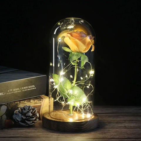 Preserved Rose in Glass Bell Jar – LED Light Beauty & Home Decor