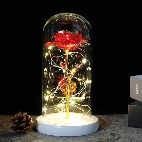 Preserved Rose in Glass Bell Jar – LED Light Beauty & Home Decor